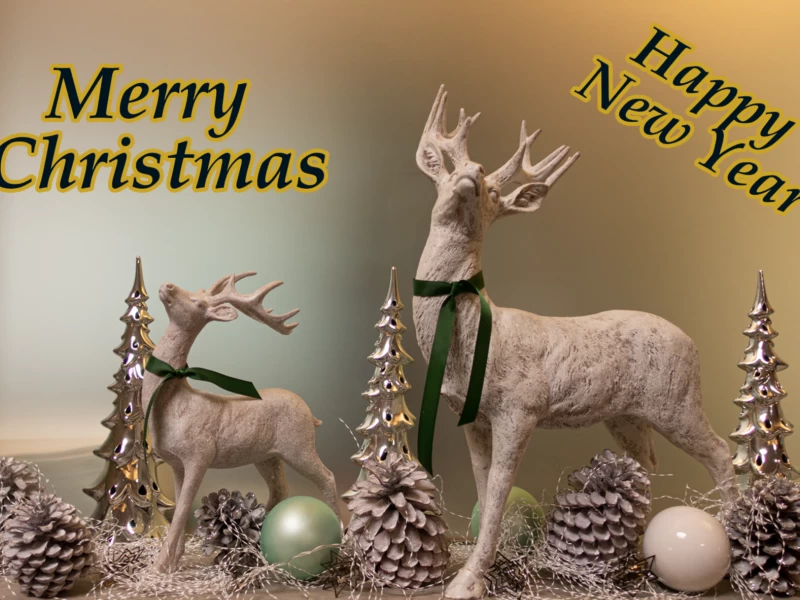 Frohe Weihnachten